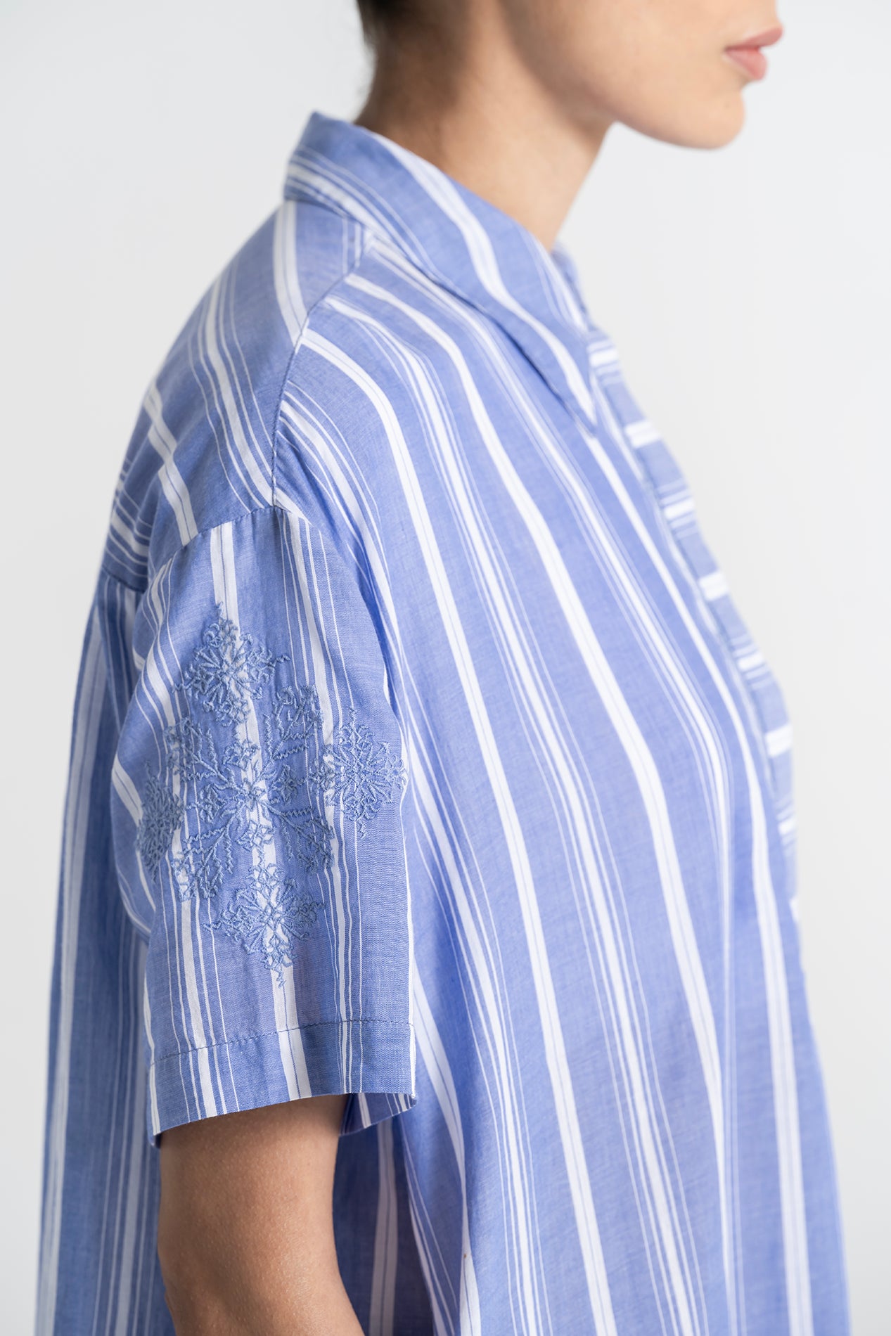 BRASILIA Embroidered Blue Striped Dress